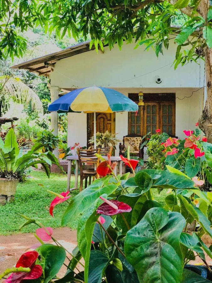 Sigiri Lakshan Home Stay Sigiriya Luaran gambar