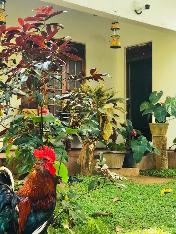 Sigiri Lakshan Home Stay Sigiriya Luaran gambar
