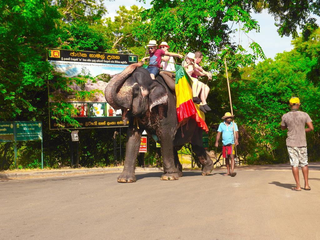 Sigiri Lakshan Home Stay Sigiriya Luaran gambar